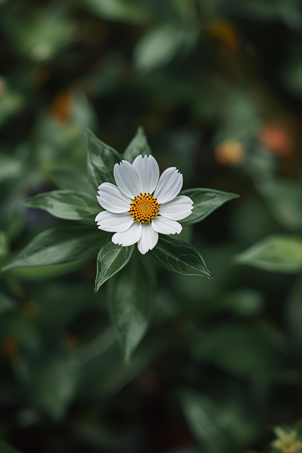 7 Striking Lessons on Embracing Change Like the Leaves Do