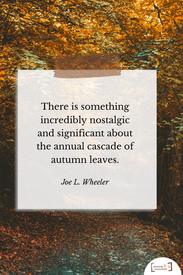 A lovely quote about fall #Fall #FallSeason