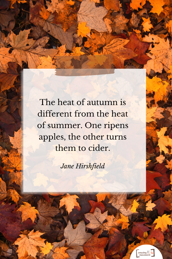 A heartfelt quote about fall #Fall #FallSeason