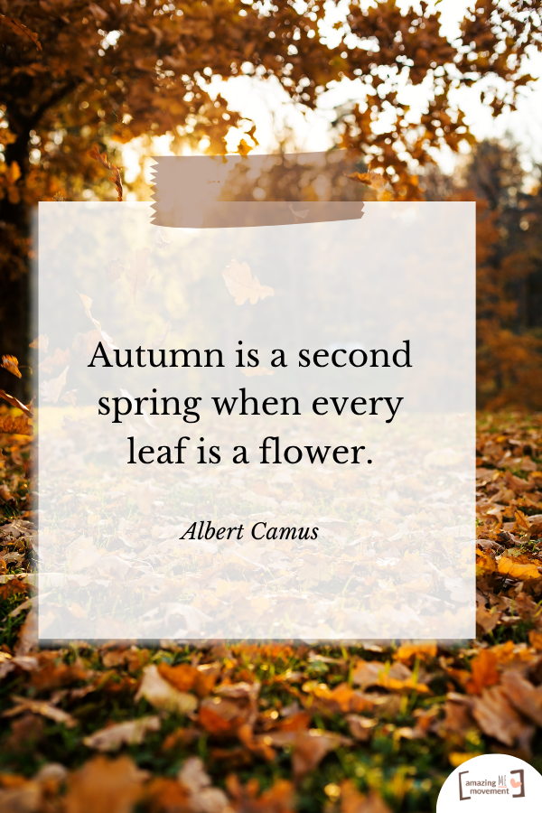 A heartfelt quote about fall #Fall #FallSeason