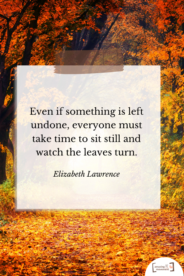 A heartfelt quote about fall #Fall #FallSeason