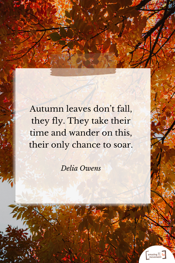 A heartfelt quote about fall #Fall #FallSeason