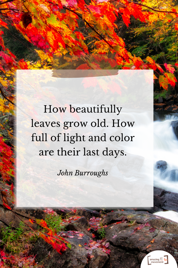 A quote about fall #Fall #FallSeason