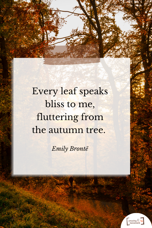 A lovely quote about fall #Fall #FallSeason