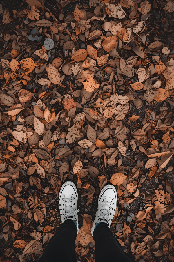 7 Striking Lessons on Embracing Change Like the Leaves Do
