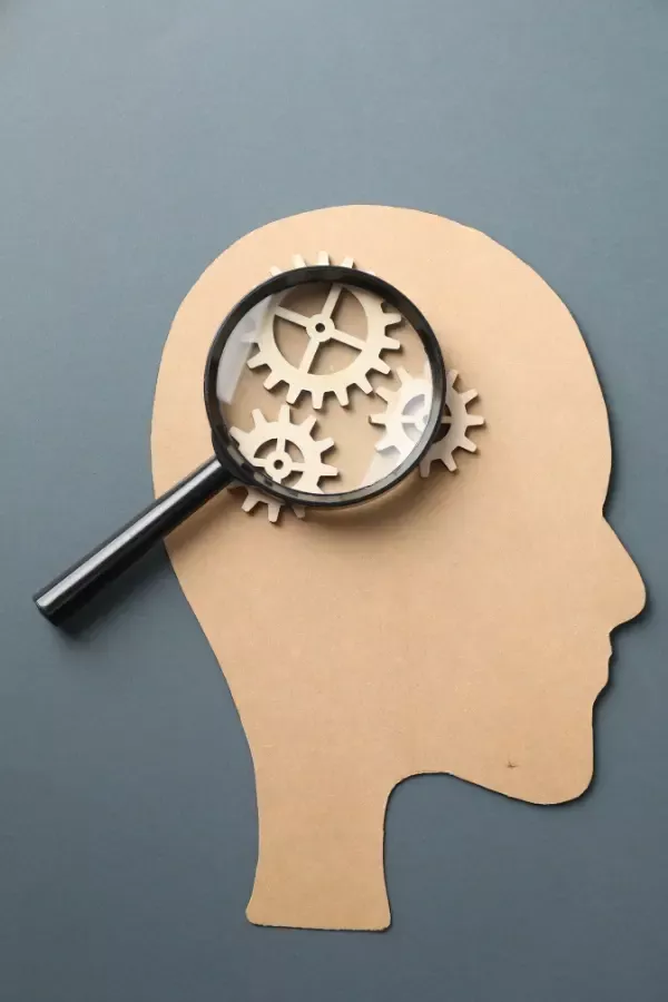 An illustration of magnifying the human brain